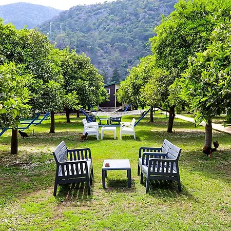 Three Islands לינה וארוחת בוקר Çıralı